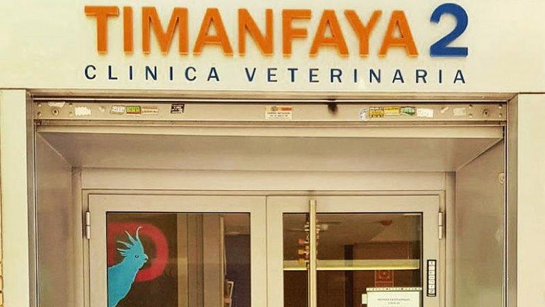 Veterinary Clinic Timanfaya S L