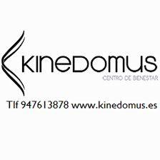 Hotel con encanto & Spa Kinedomus Bienestar