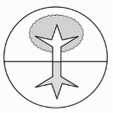 Shinko Nakano