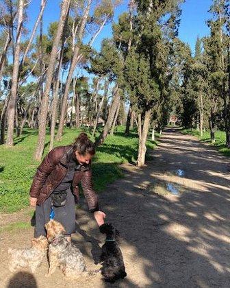 Maestra Canina