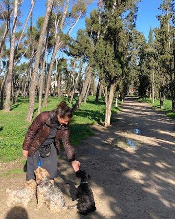 Maestra Canina