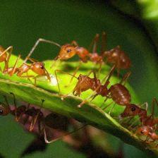 Desinfecciones Epsilon