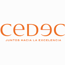 CEDEC, Consultoría de Organización Estratégica