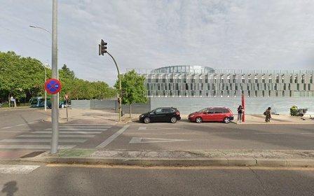 Adiestramiento Canino en Alcorcón. Mi perro también es mi familia