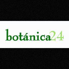 Botánica 24 Floristería