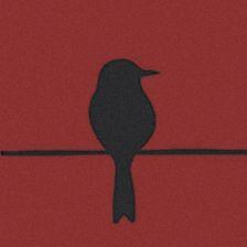 Blackbird Films