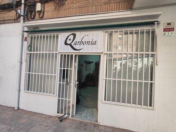 Musical Instruments Qarbonia S.L.