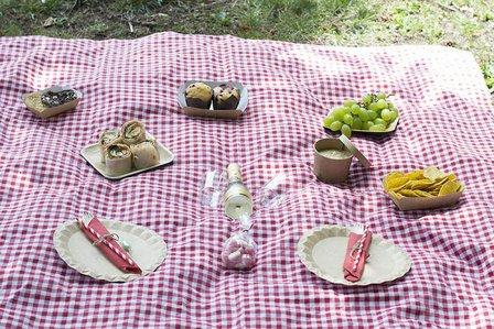 Picnic Madrid