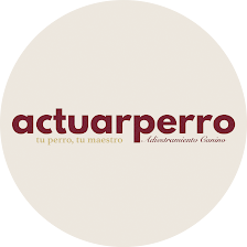 actuarperro Adiestramiento Canino Profesional