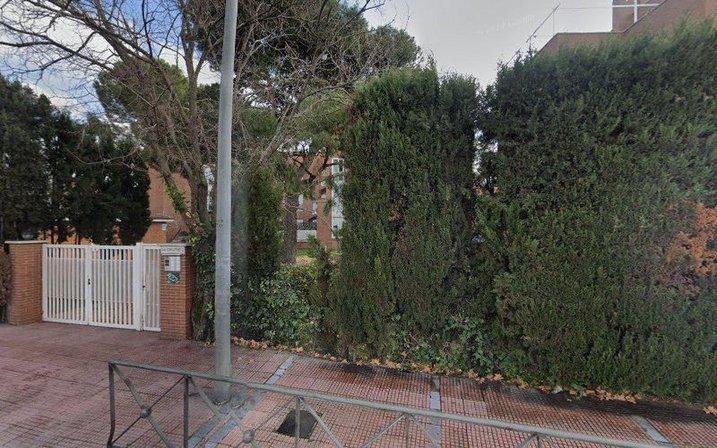 Canalones Alcala de Henares