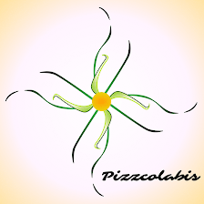 Pizzcolabis