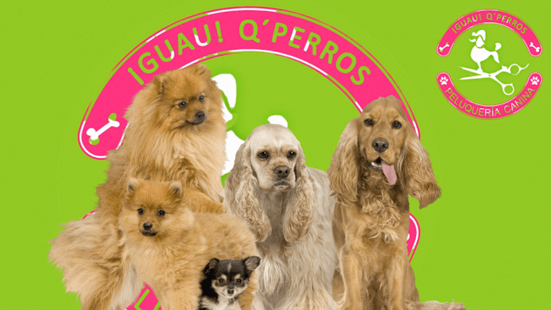 ¡GUAU! Q´ PERROS Peluquería canina