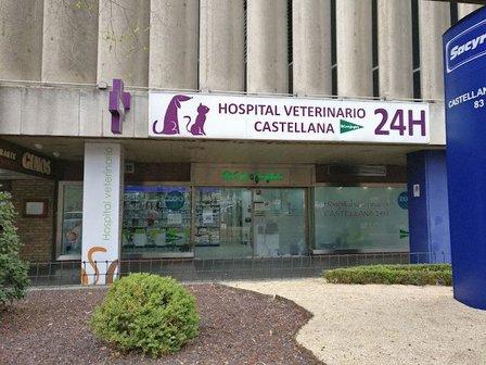CASTELLANA VETERINARY HOSPITAL 24H