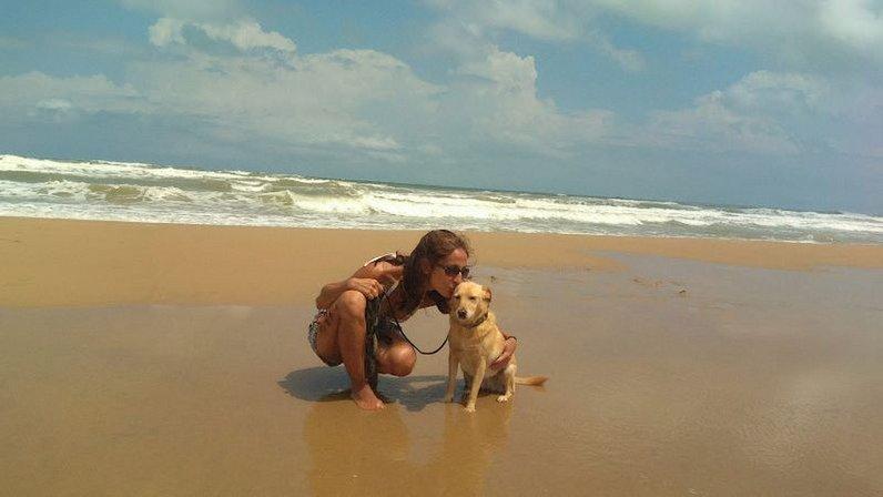 Cuidado de animales