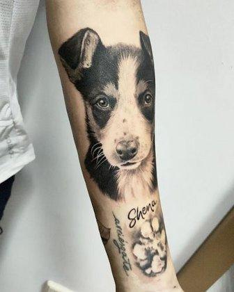 Bushido Tatuajes