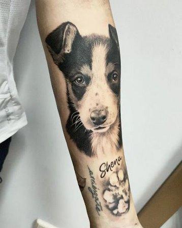 Bushido Tatuajes