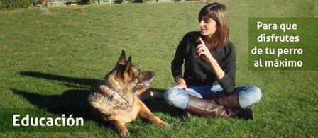 Centro Canino Gufy - Residencia Canina