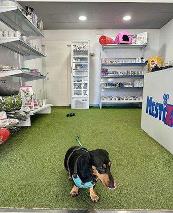 MESTIZOO | I Love Dog Wash Las Rozas Autolavado y tienda de Mascotas