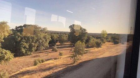 Montes del Pardo