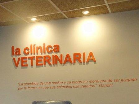 Veterinary Clinic
