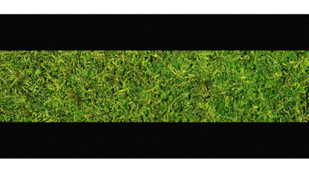 Seed Media Agency S.R.L.S.