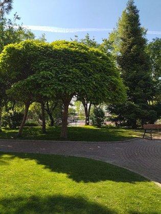 Secondary School El Burgo De Las Rozas