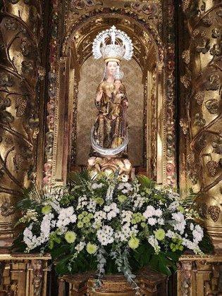 Flores Goyi