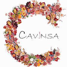 Enoteca Cavinsa