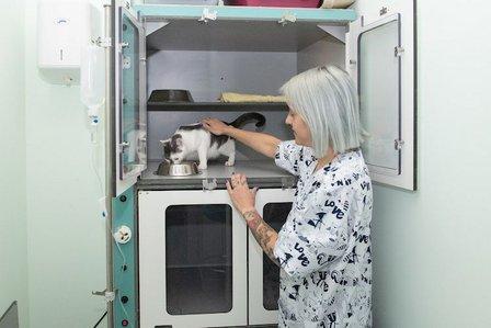 Centro Veterinario API