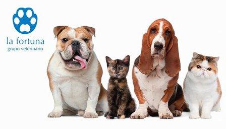 Clínica Veterinaria Vereda de los Estudiantes