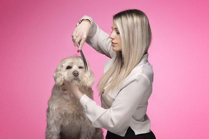 PELUQUERIA CANINA "LA BAÑERA DE PITU"