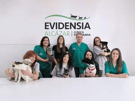 Evidensia Alcázar Veterinary Clinic