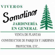 Viveros Somolinos CB
