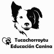 Tucachorroytu