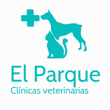 Veterinary Clinic Park 1