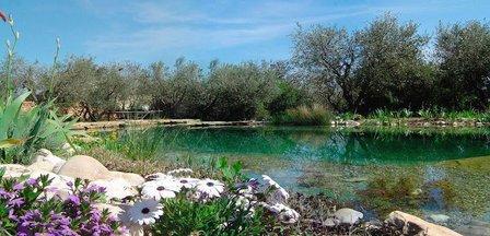 BioNova Natural Pools