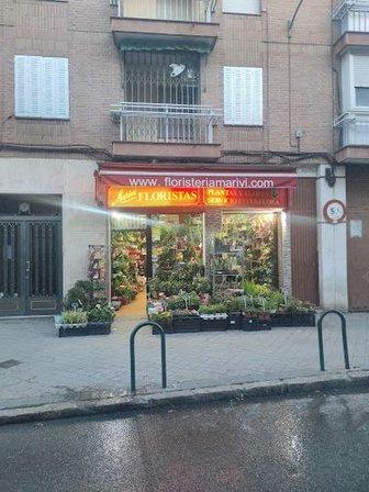 Marivi floristas