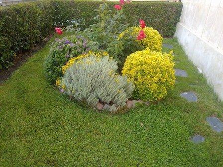 Jardineria t-riego