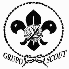 Grupo Scout Álamos 260