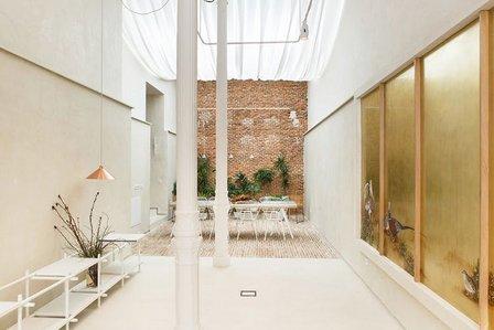plantea estudio