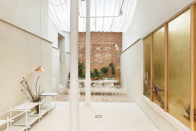 plantea estudio