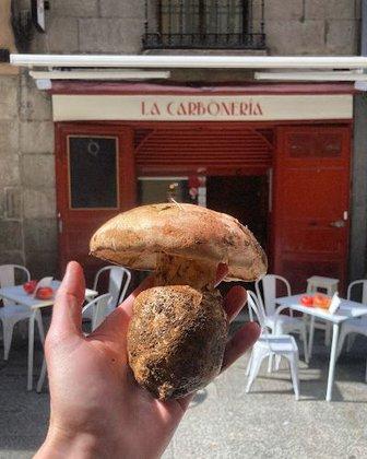 LA CARBONERIA
