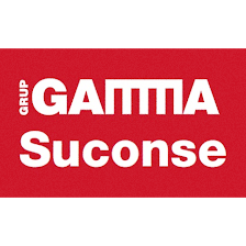 Suconse Grup Gamma