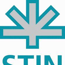 grupo stin