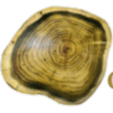 DECOSTYL MADERA