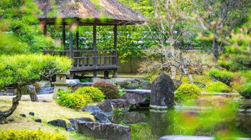 Mgt Jardines y Piscinas