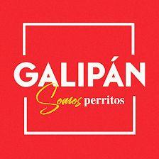 Galipán Montera