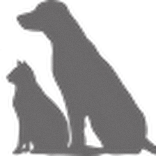 Crematorio de mascotas | Infinity Pet S.L