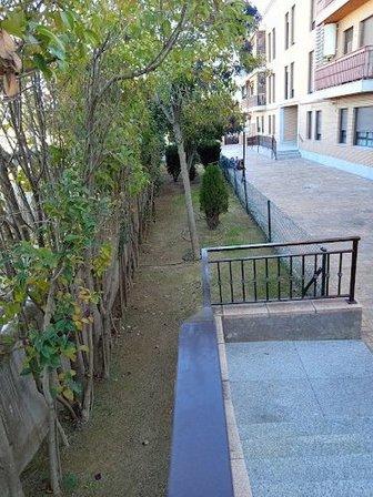 Proyectados MiRic Toledo