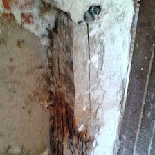 Periciales Construcción